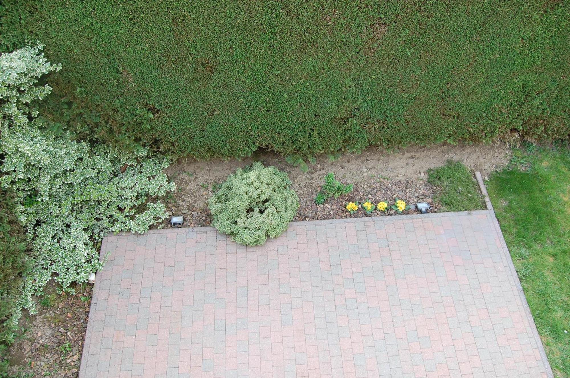 B&B Des Bois Sans Nombre Paliseul Экстерьер фото
